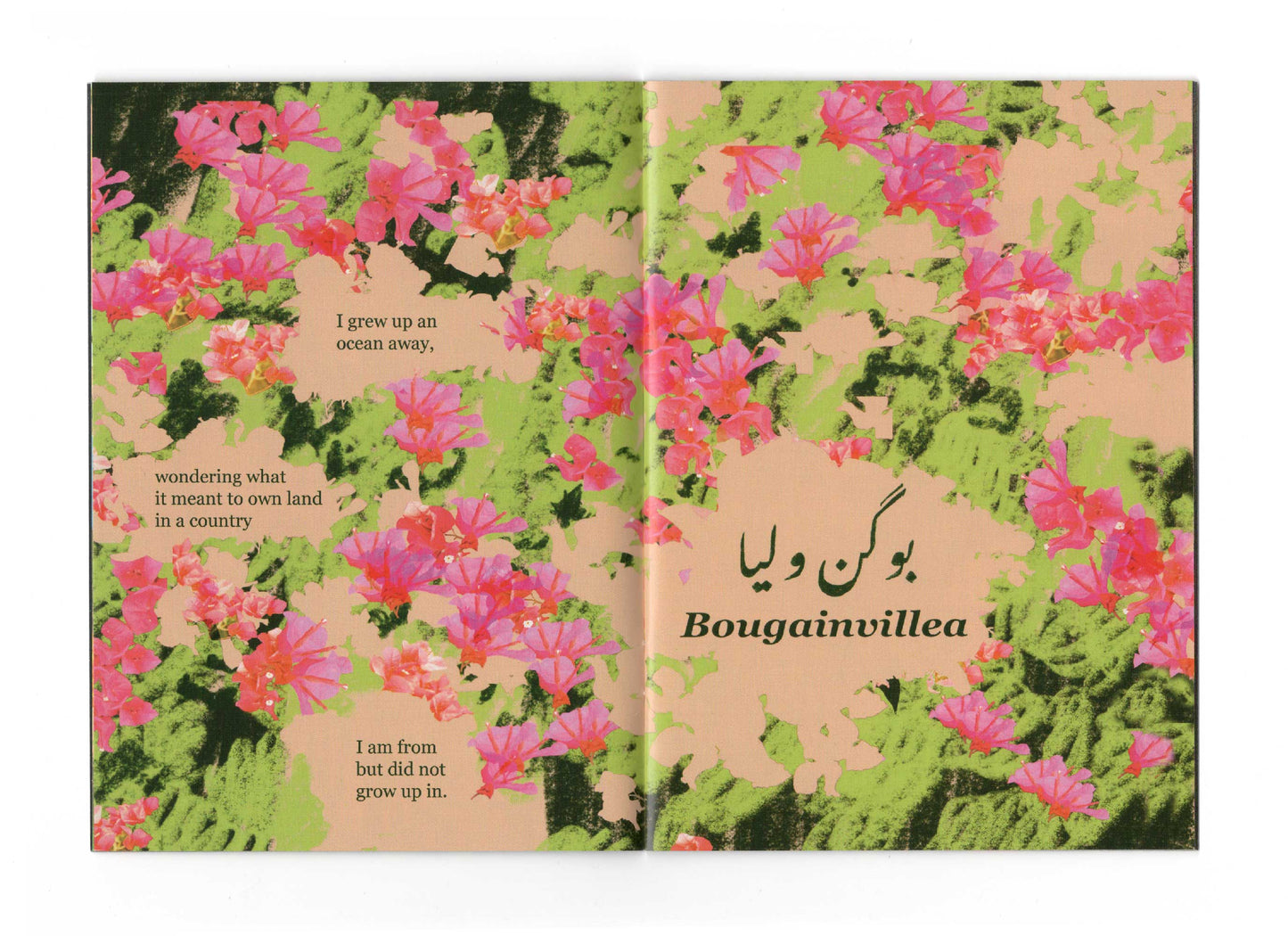Flowers of Pakistan
