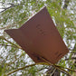 The zine has been tucked into the branches of the willow tree and photographed from below, giving the impression that the tree itself is reading from it’s opened pages. 