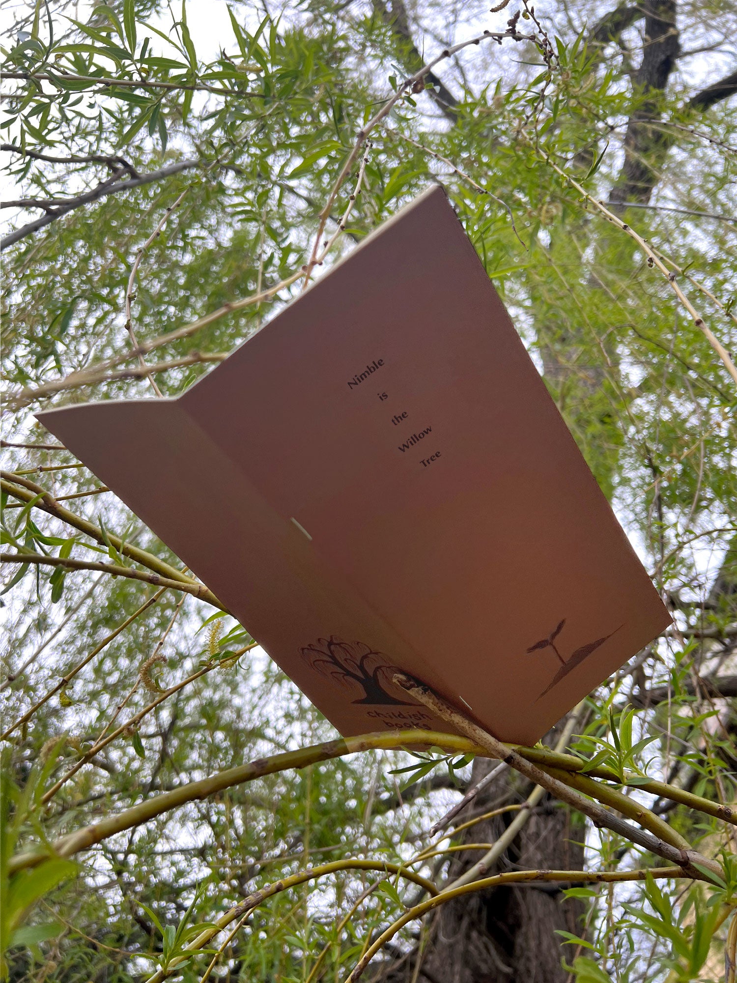The zine has been tucked into the branches of the willow tree and photographed from below, giving the impression that the tree itself is reading from it’s opened pages. 