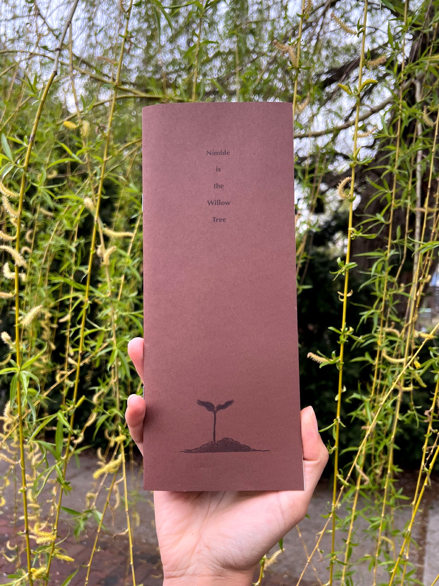 The author’s hand holds up the cover of the zine in front of a cascade of spring willow branches. 