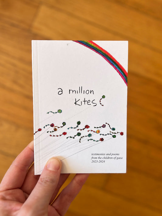 Hansons hand holds up a copy of the book, their blurry wooden floor in the background. 