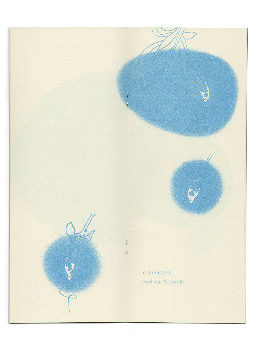 A slightly anthropomorphized drop of dew wraps it’s arms around the willow seed whose eyes are closed tight. Over three small circular vignettes, the illustration show as dew loosens the seed from its branch till seed breaks loose. The spreads text reads “In an instant, seed was separate”.