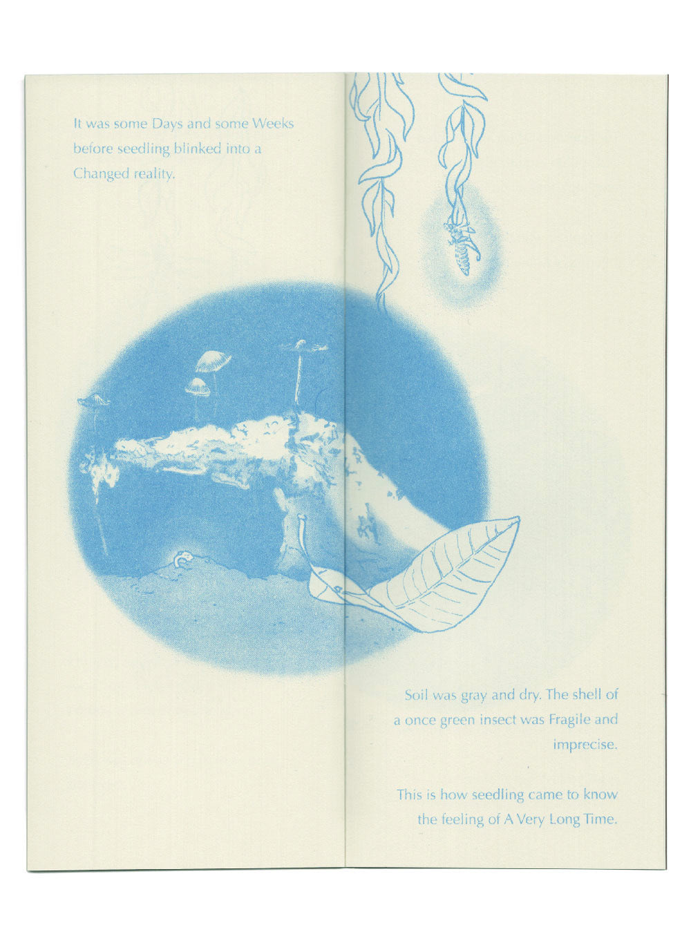 This spread of the zine illustrates a small seedling partially unfolding from a bed of dirt beneath a moss and mushed covered overhang. A fallen leaf sits below two willow tree tendrils, once with the molted shell of a dragonfly still clinging to it. The text reads: It was some Days and some Weeks before seedling blinked into a Changed reality. Soil was gray and dry. The shell of a once green insect was fragile and imprecise. This is how seedling came to know the feeling of A Very Long Time. 